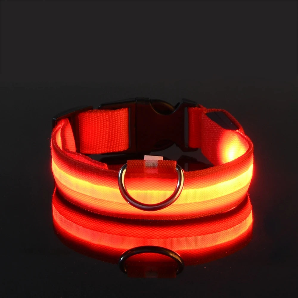 Nylon LED Night Safety Flashing Glow In The Dark Dog Leash Dogs Luminous Fluorescent Pet Dog Collar - image 9
