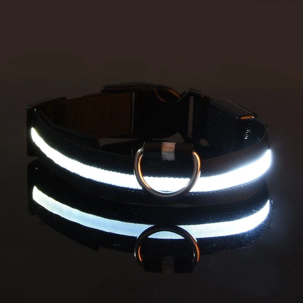 Nylon LED Night Safety Flashing Glow In The Dark Dog Leash Dogs Luminous Fluorescent Pet Dog Collar - image 10