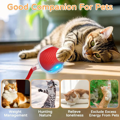 iLMH 1/2 PCS Cat Interactive Ball Toy Automatic Rolling Ball Faux Tail Rechargeable Smart Pet Electric Toy Pet Toy Imitate M…
