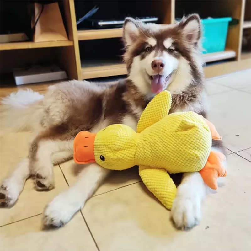 Dog sleeping with a dog hug duck toys to relieve boredom of little yellow duck pet interactive plush doll pet supplies - ima…