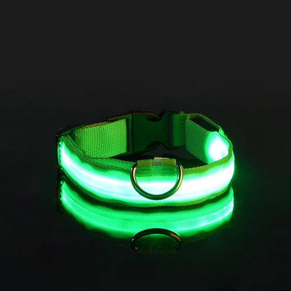 Nylon LED Night Safety Flashing Glow In The Dark Dog Leash Dogs Luminous Fluorescent Pet Dog Collar - image 13