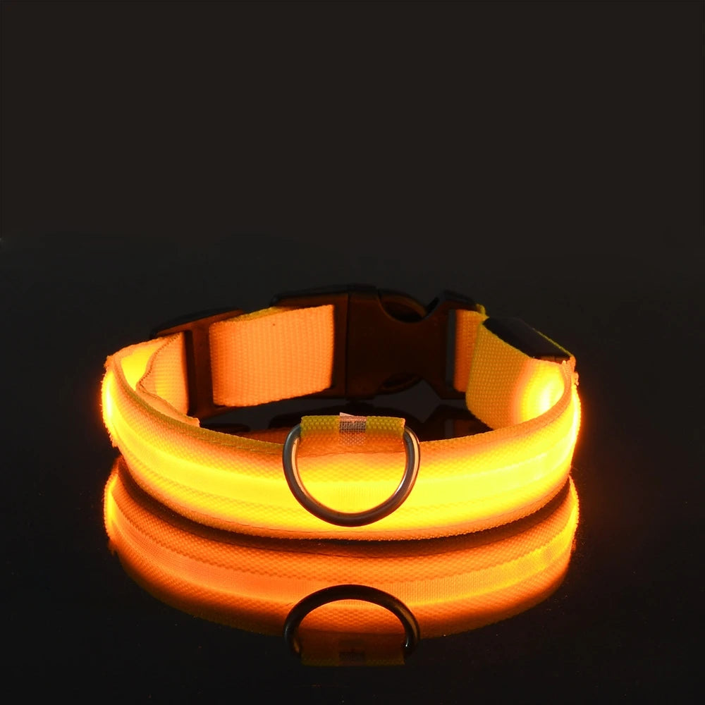 Nylon LED Night Safety Flashing Glow In The Dark Dog Leash Dogs Luminous Fluorescent Pet Dog Collar - image 12