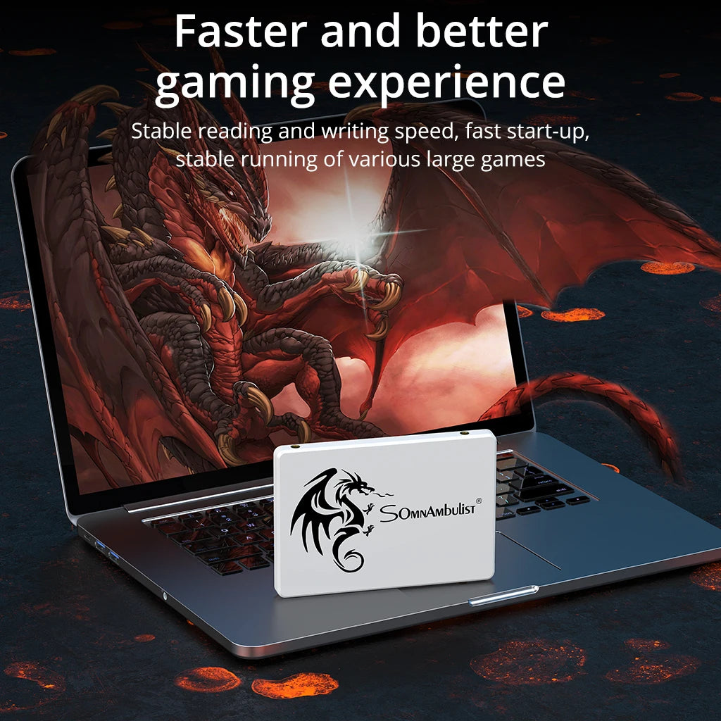 SomnAmbulist SSD 2.5 64GB 128GB 256GB 512GB for Laptop Desktop Solid State Drive Sata3 120GB 240GB 480GB - image 4