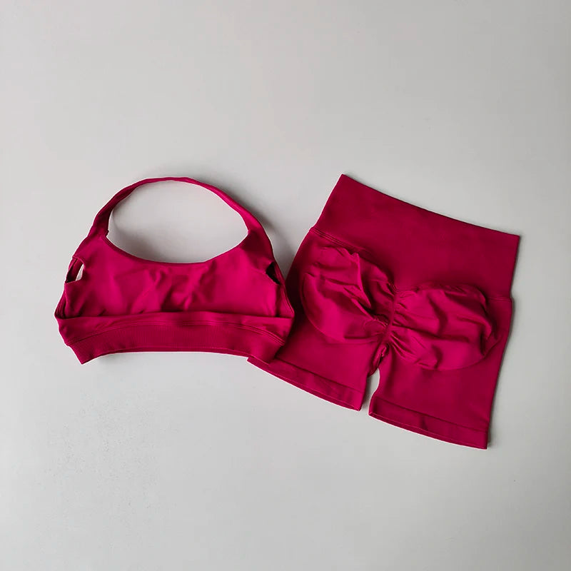 Sexy Halter Neck Beautiful Back High Waist Peach Sports Bras Shorts Suit Pilates Gathering Yoga Vest Training Fitness Bra Se…