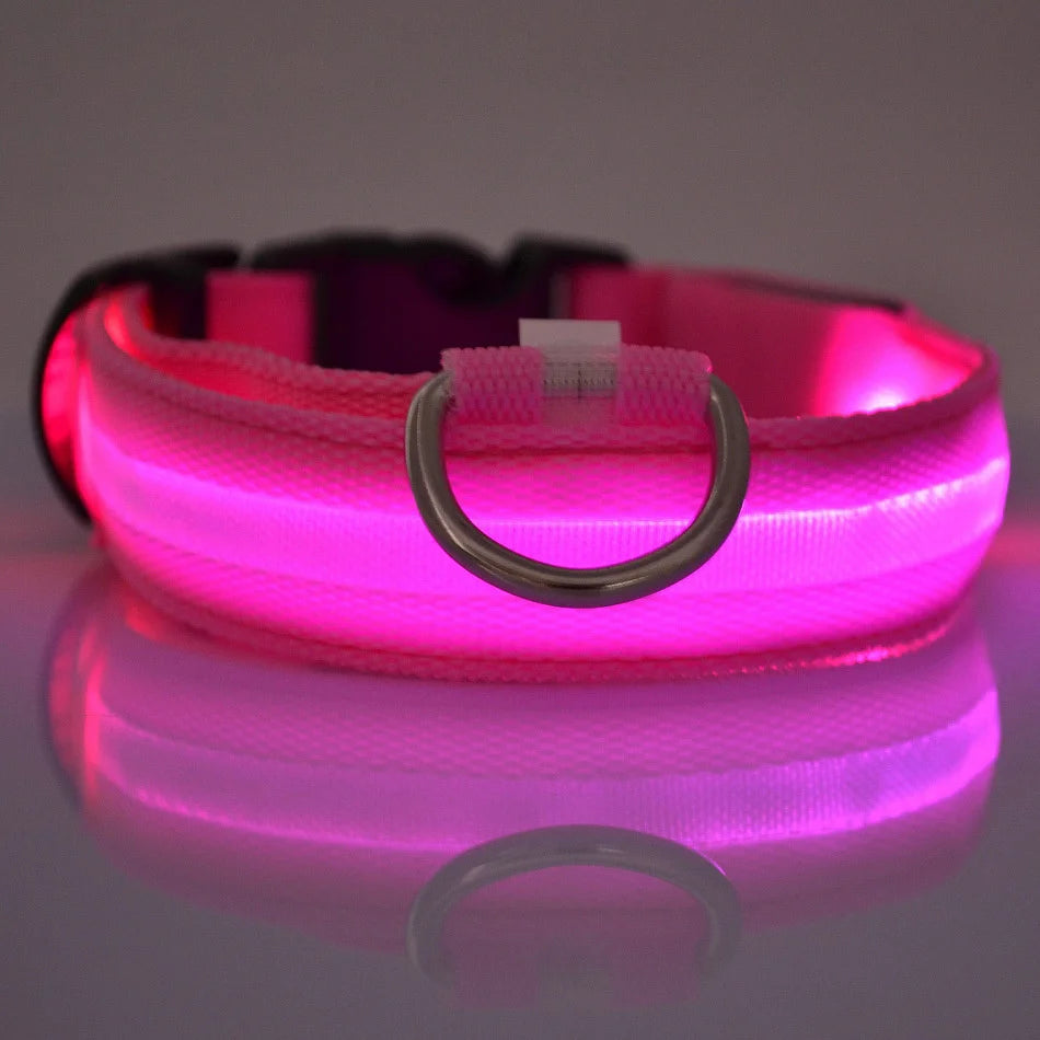 Nylon LED Night Safety Flashing Glow In The Dark Dog Leash Dogs Luminous Fluorescent Pet Dog Collar - image 4
