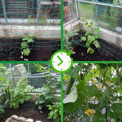 Plant Trellis Pergolas, Heavy-Duty Polyester Grow Net, Garden Trellis Netting With Square Mesh For Climbing Plants, Vegetabl…