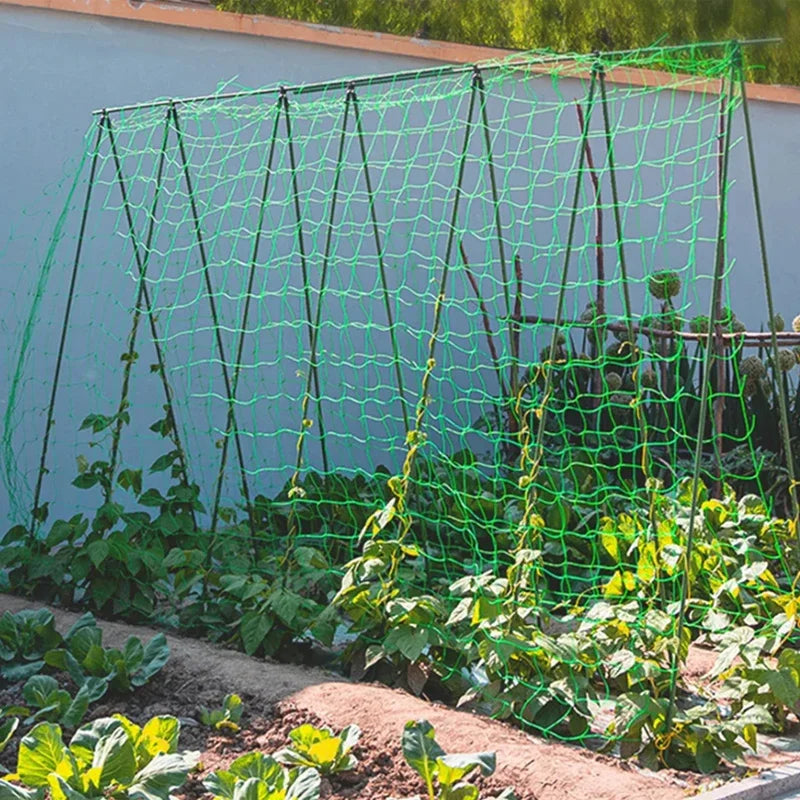 Plant Trellis Pergolas, Heavy-Duty Polyester Grow Net, Garden Trellis Netting With Square Mesh For Climbing Plants, Vegetabl…