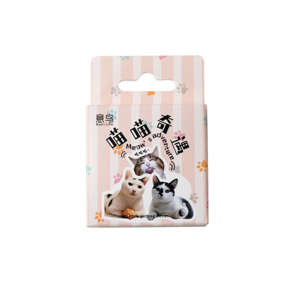 46pcs/Bag,Cat Stickers,Be for Suitcase Skateboard Luggage Laptop Phone Diy Sticke Decoration Stationery School Supplies Toys…